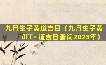 九月生子黄道吉日（九月生子黄 🌷 道吉日查询2023年）